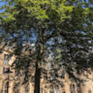 Meet your Posher, Jen